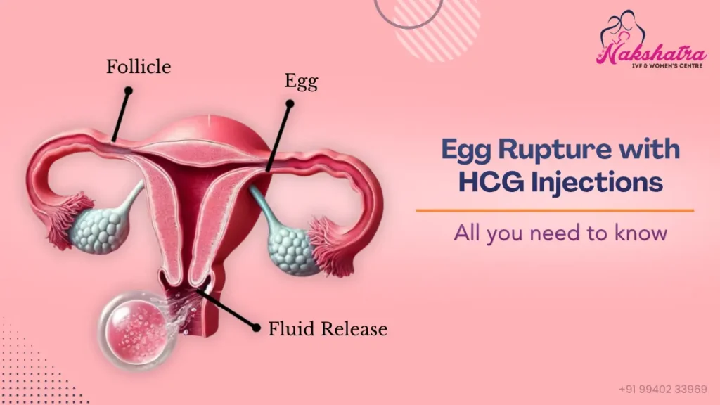What_is_Egg_Rupture